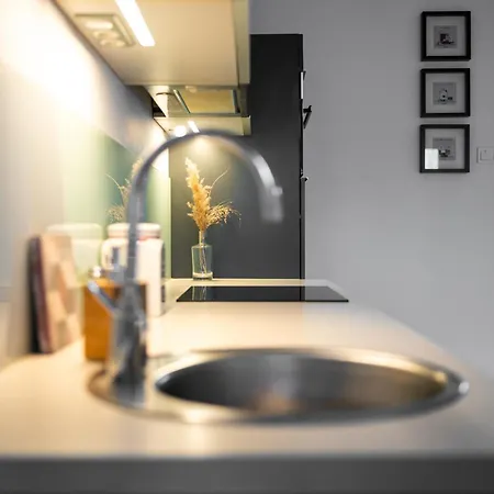 Modern, Design Lakas A Margit-sziget Mellett ブダペスト