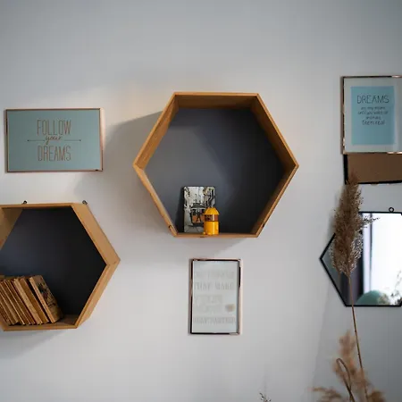 Modern, Design Lakas A Margit-sziget Mellett ブダペスト