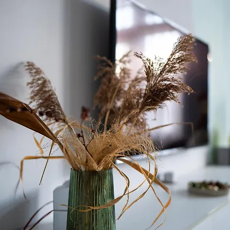 Modern, Design Lakas A Margit-sziget Mellett Apartment